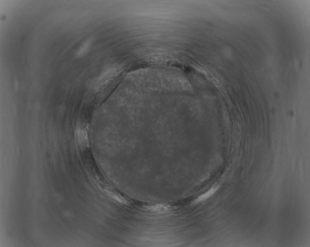 X0000066110432200603312055