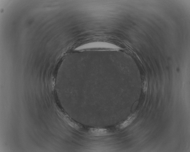 X0000066110476200603312055