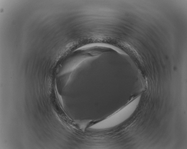 X0000066110496200603312054