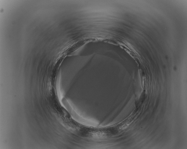 X0000066110500200603312054