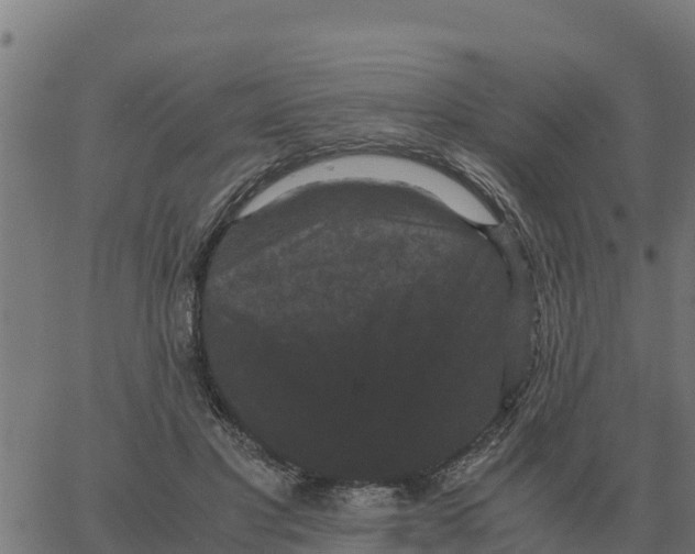 X0000066110501200603312054