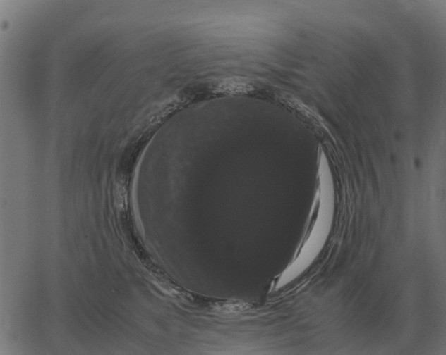 X0000066110517200603312053