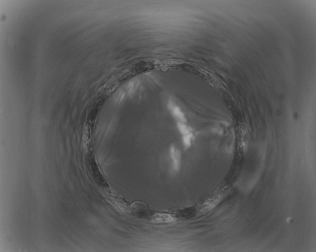 X0000066110519200603312053