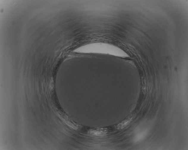 X0000066110563200603312053
