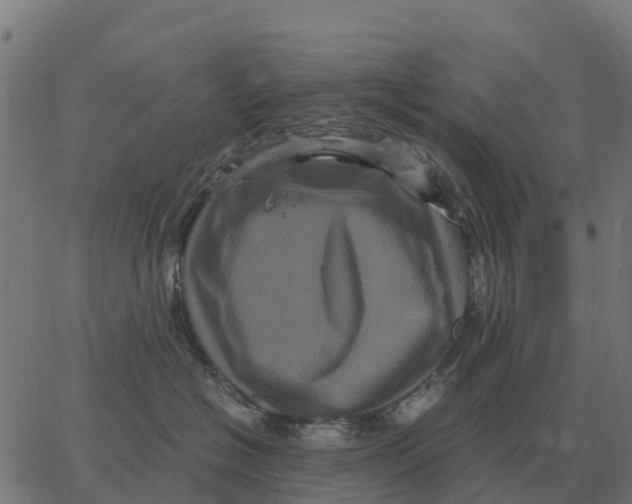 X0000066110574200603312053