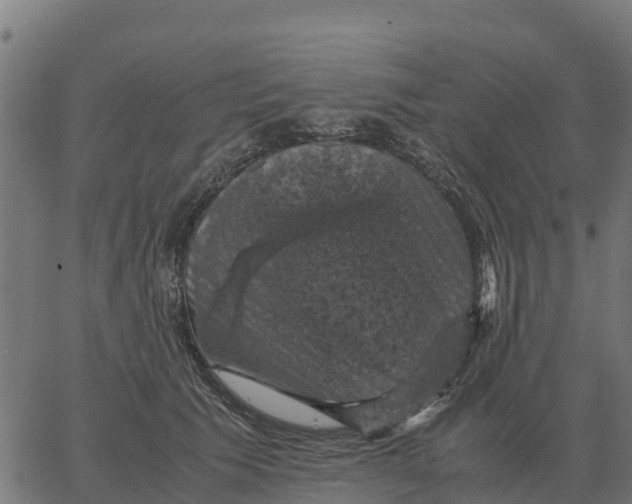 X0000066110609200603312052