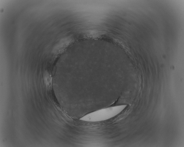 X0000066110624200603312052