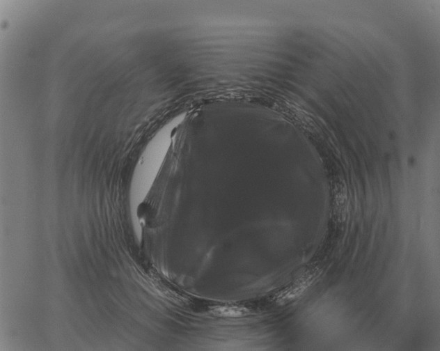 X0000066110654200603312051