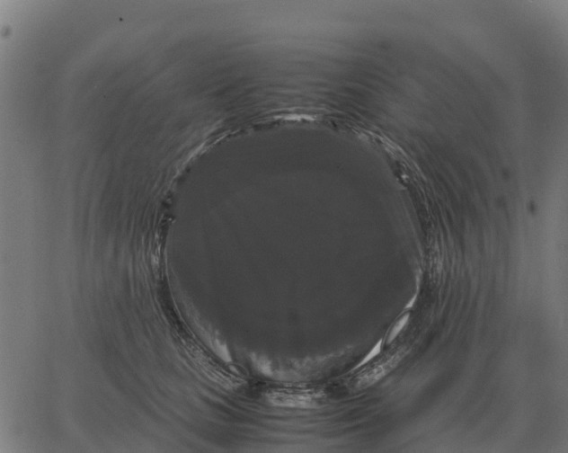 X0000066110661200603312051