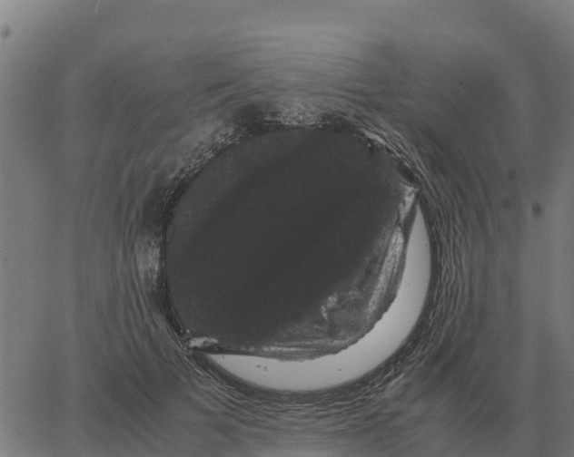 X0000066110697200603312050