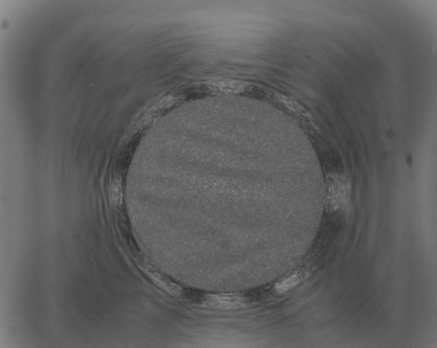 X0000066110713200603312050