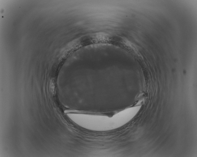 X0000066110715200603312050