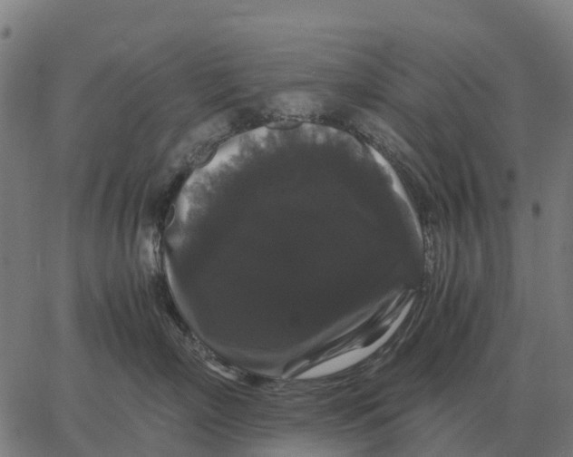 X0000066110718200603312050