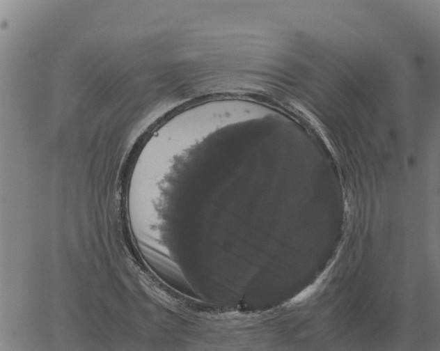X0000066110779200603312049