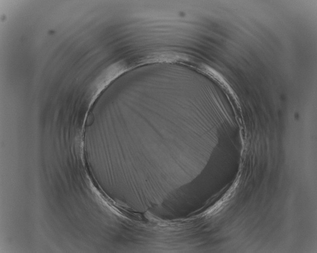 X0000066110802200603312049