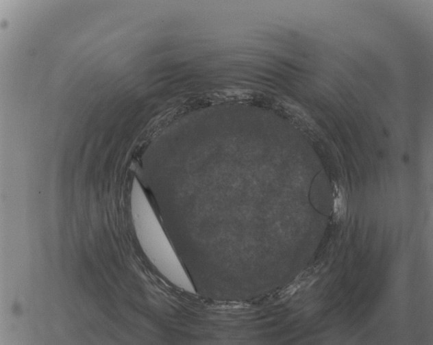 X0000066110819200603312048