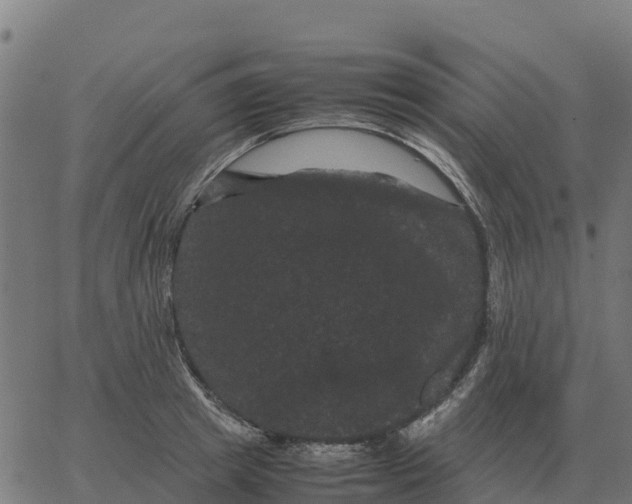 X0000066110849200603312048