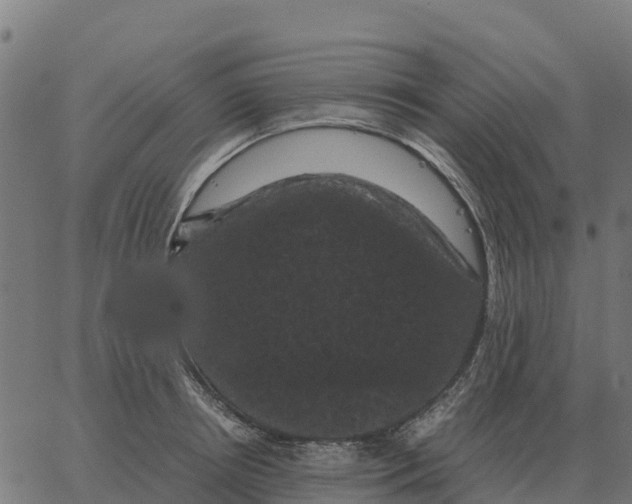 X0000066110850200603312048