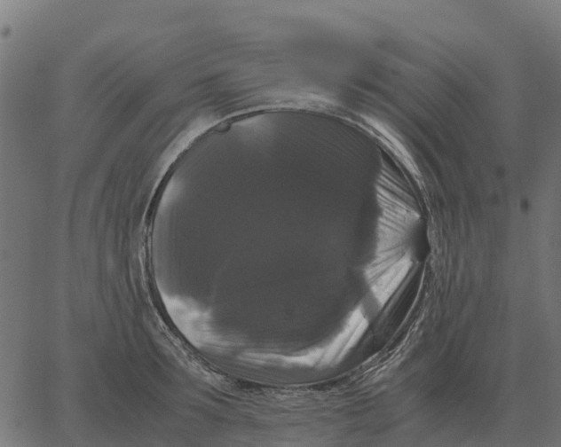 X0000066110899200603312047