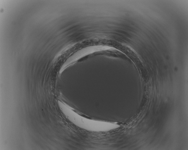 X0000066110919200603312046