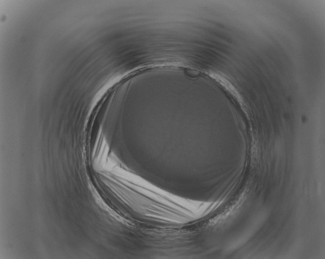 X0000066110941200603312047
