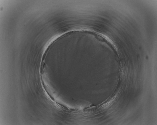 X0000066110943200603312047