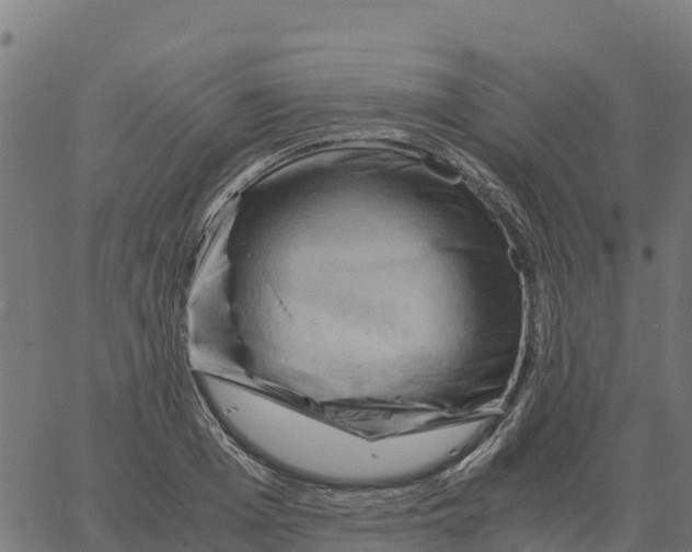 X0000066110985200603312046