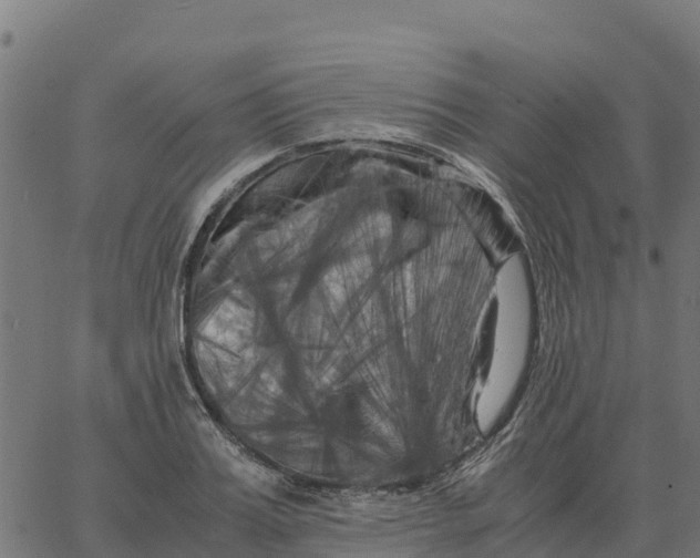 X0000066110987200603312046