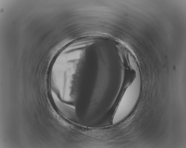 X0000066110995200603312046