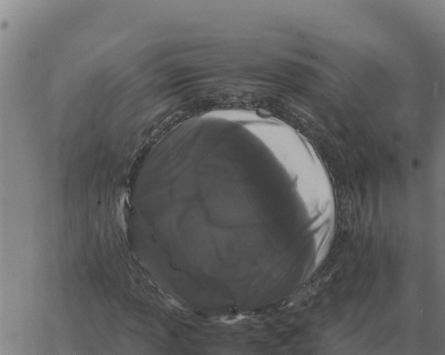 X0000066111013200603312045