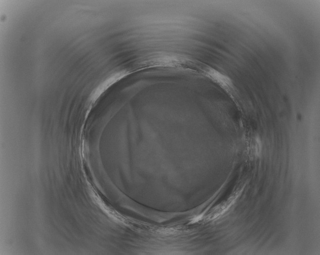 X0000066111034200603312045