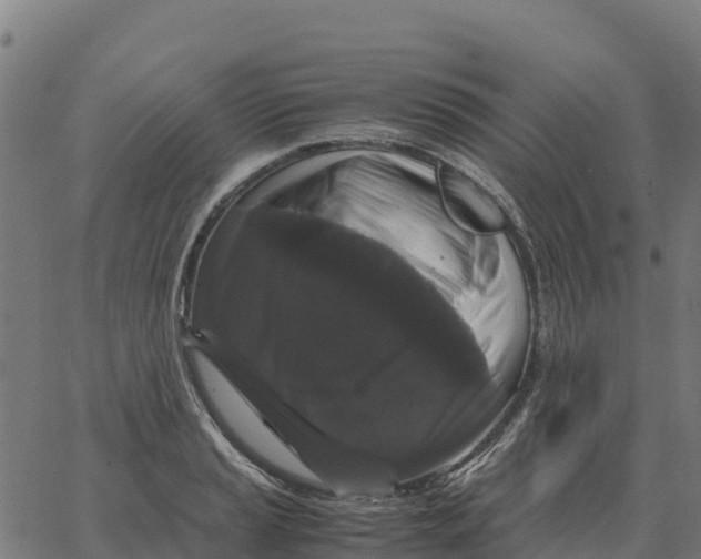 X0000066111037200603312045