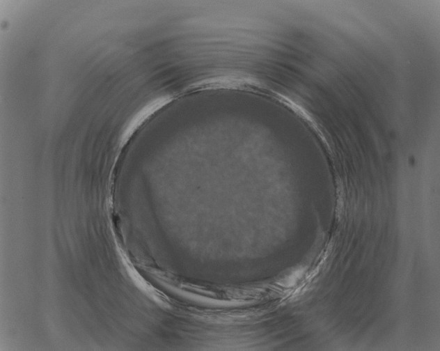 X0000066111042200603312045