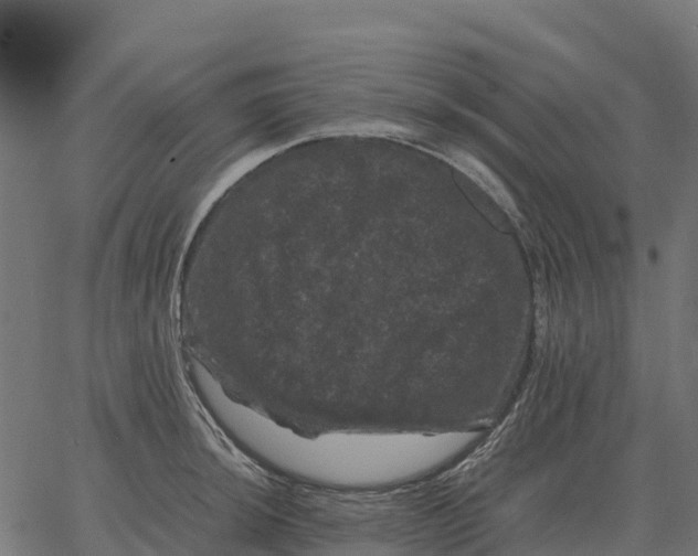 X0000066111044200603312045