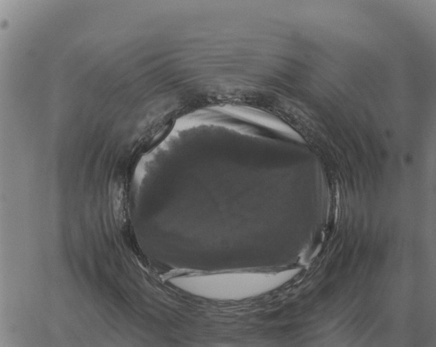 X0000066111060200603312045