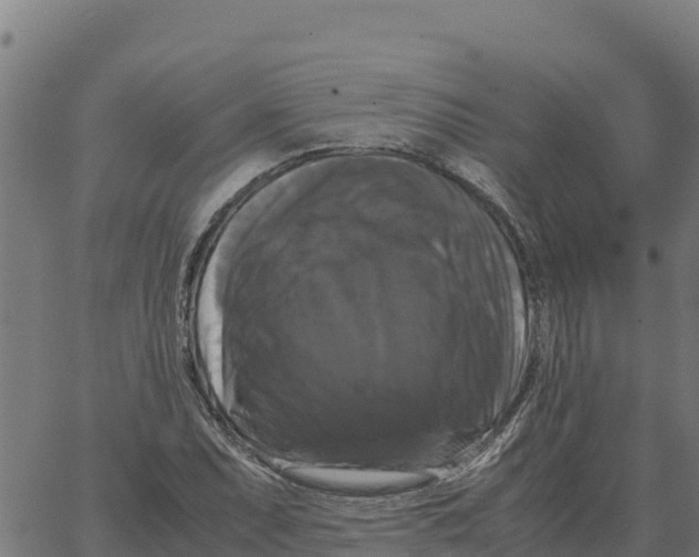 X0000066111071200603312044