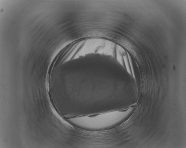 X0000066111084200603312044