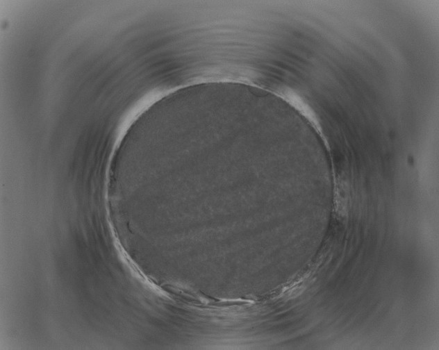 X0000066111096200603312044