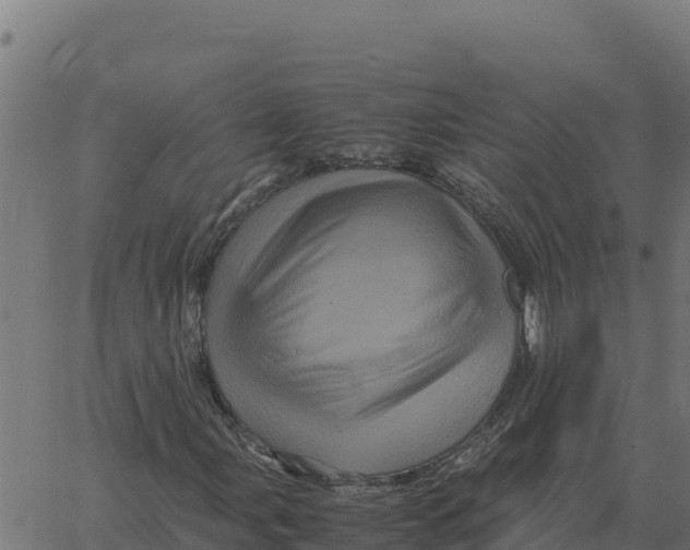 X0000066111107200603312043