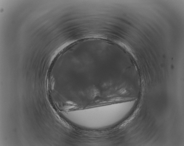 X0000066111125200603312043