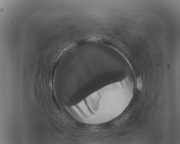 X0000066111155200603312043
