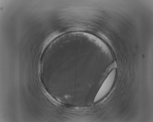 X0000066111179200603312043