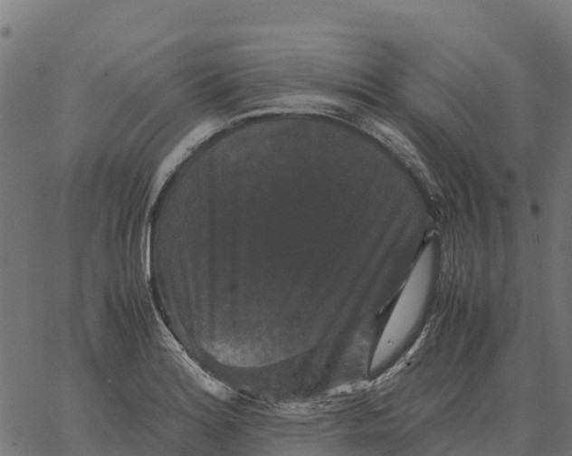 X0000066111180200603312043
