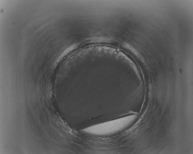 X0000066111213200603312042