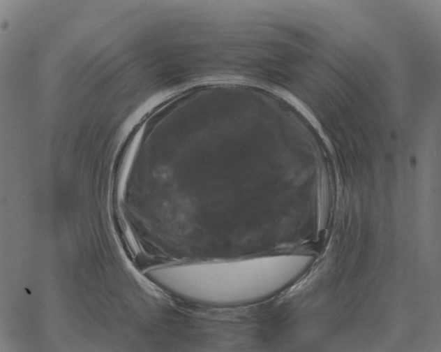X0000066111245200603312042