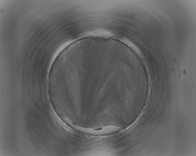 X0000066111248200603312042