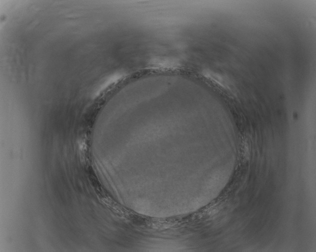 X0000066111254200603312041