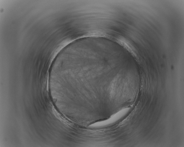 X0000066111276200603312041