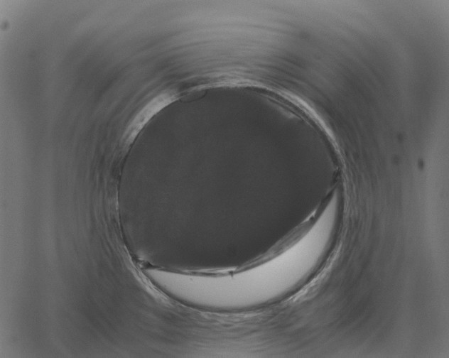 X0000066111289200603312041