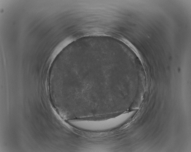 X0000066111293200603312041